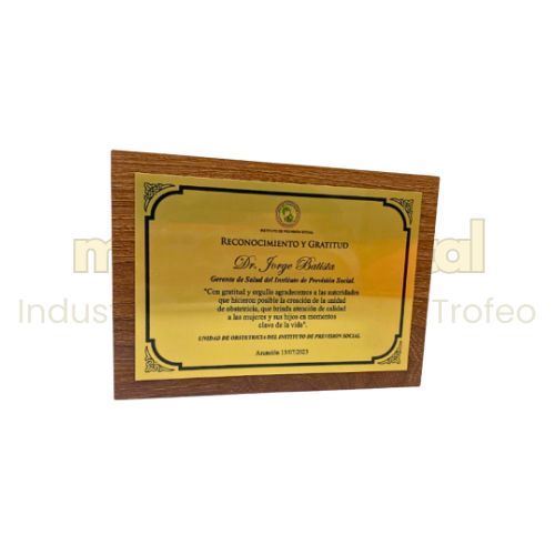 Imagen de Placa de reconocimiento -M3.102